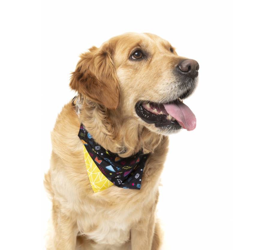 Bandana