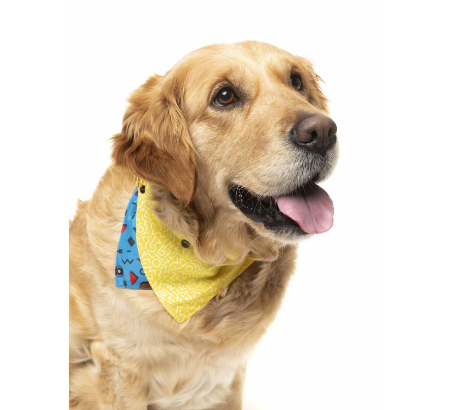 Bandana