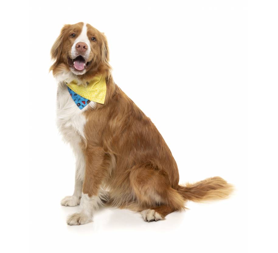Bandana