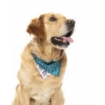Bandana