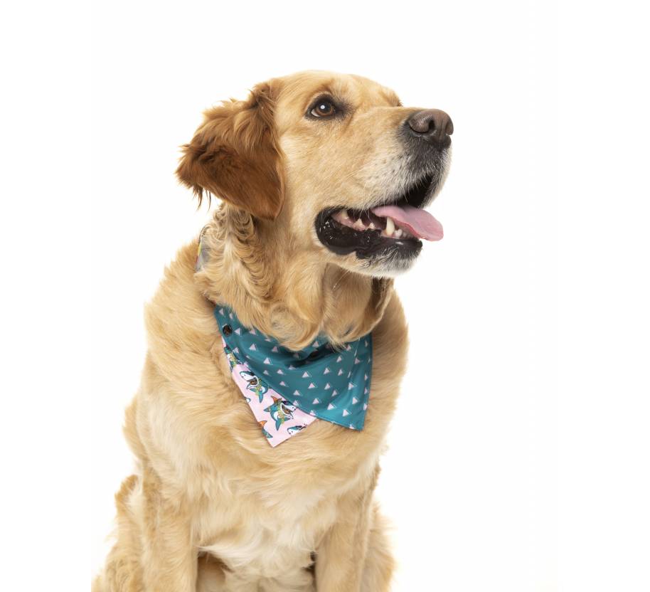Bandana