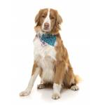 Bandana