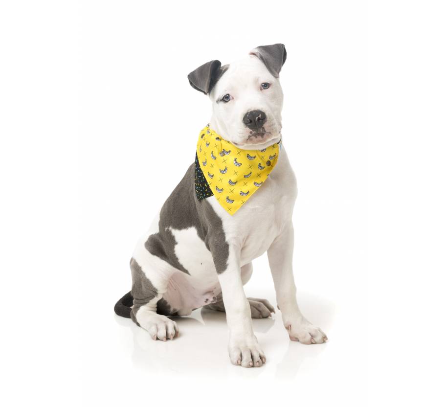Bandana
