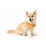 Bandana