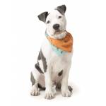 Bandana