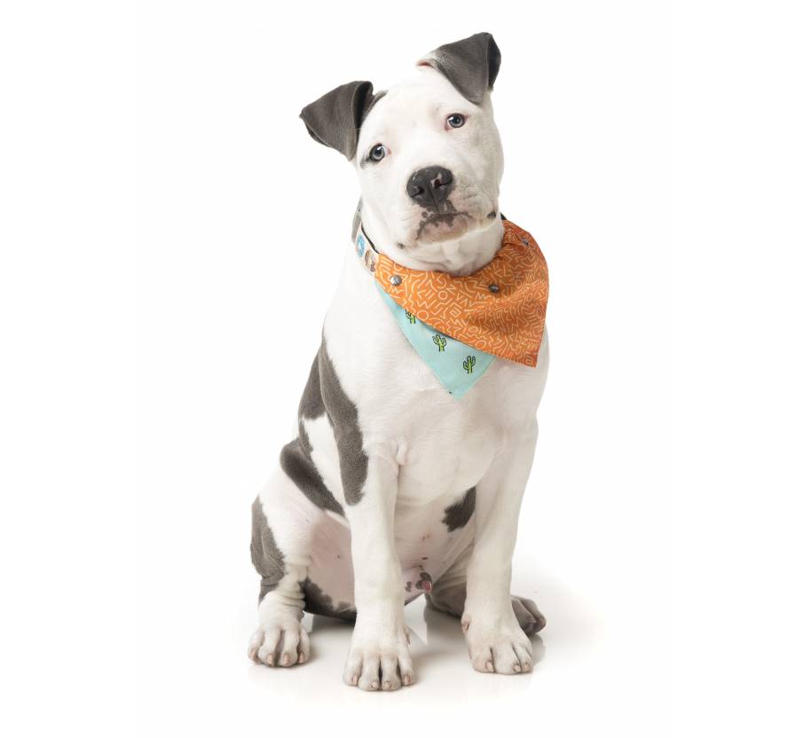 Bandana