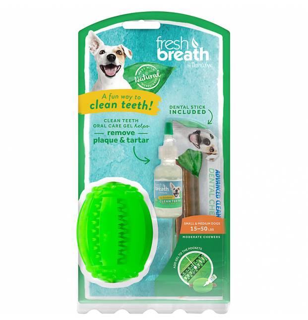 Fresh N’ Fun Dental Chew Toy