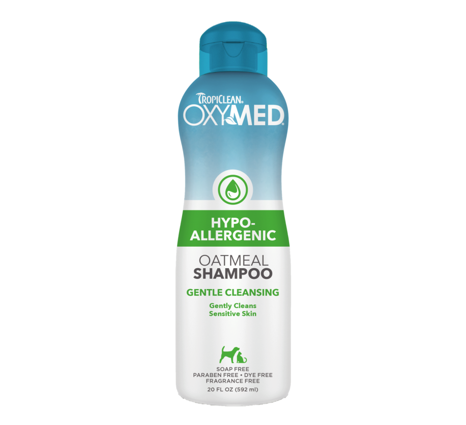Shampoo